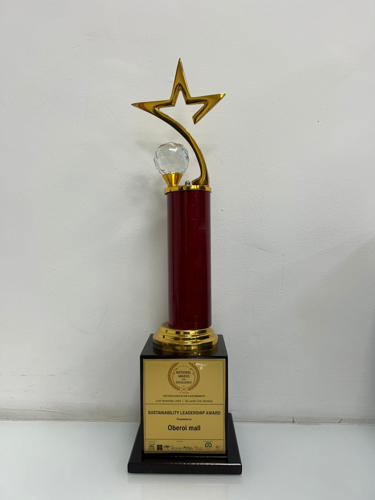 Sustainability Leadership Award at the National Awards for Excellence in CSR and Sustainability